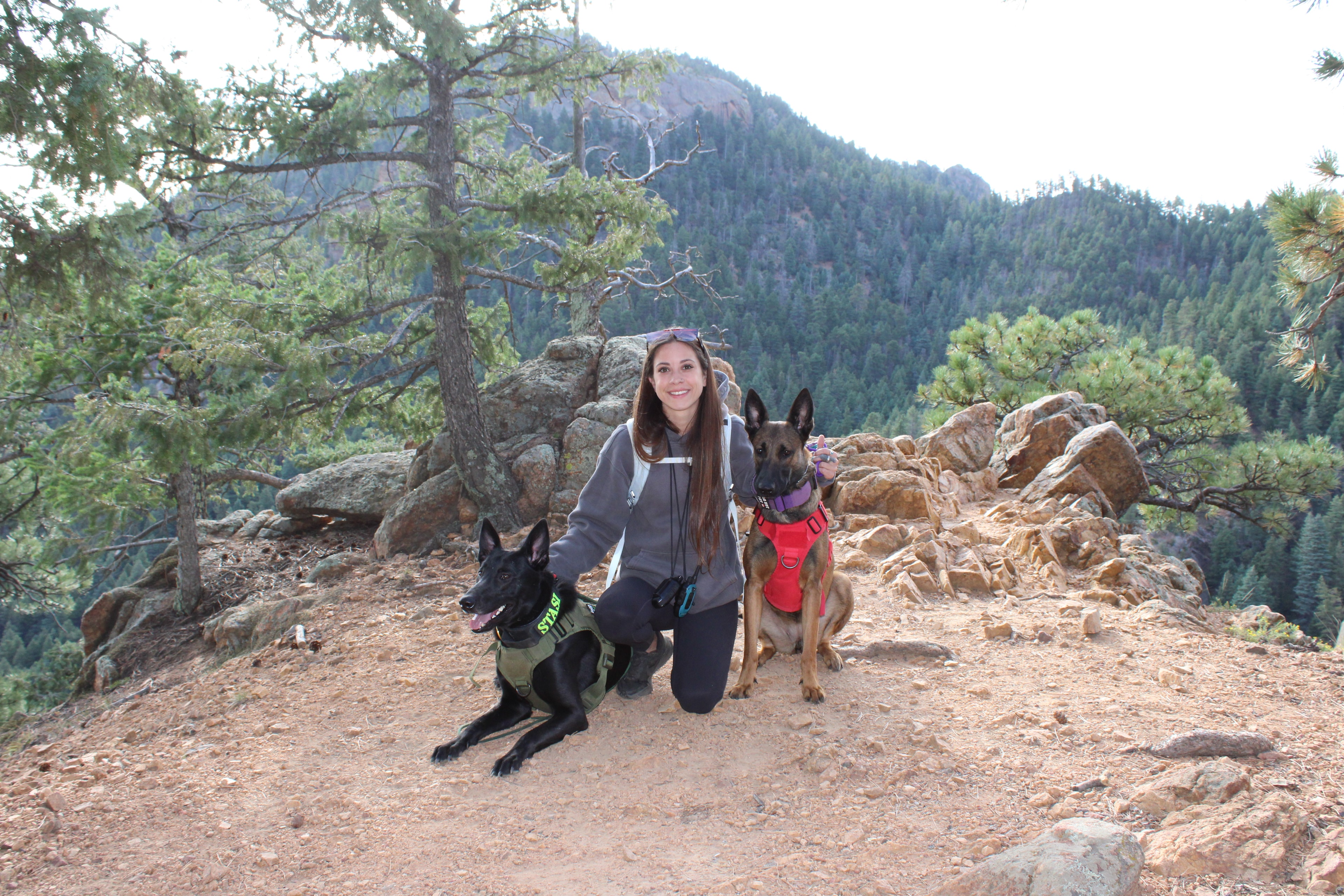 Reapers K9 Solutions trainer with dog